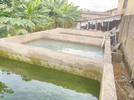 Fish farming in Nigeria