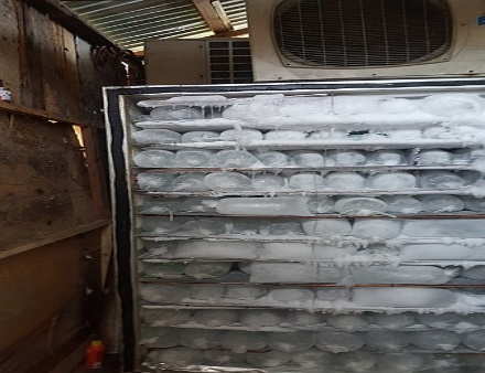 business plan for ice block production in nigeria